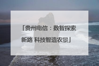贵州电信：数智探索新路 科技智造农景