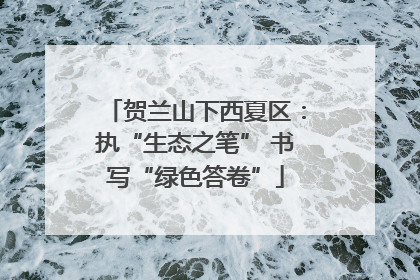 贺兰山下西夏区：执“生态之笔” 书写“绿色答卷”