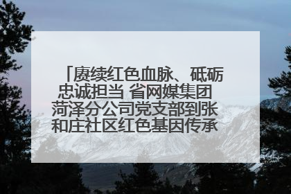 赓续红色血脉、砥砺忠诚担当 省网媒集团菏泽分公司党支部到张和庄社区红色基因传承馆开展主题党日活动