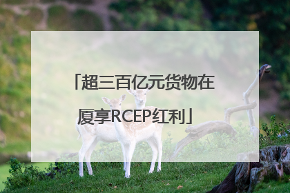 超三百亿元货物在厦享RCEP红利