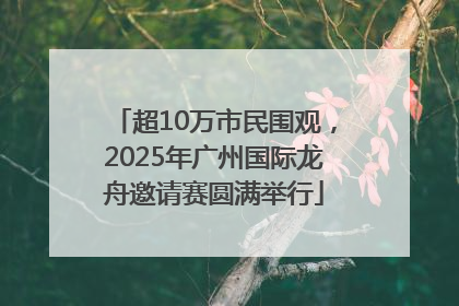 超10万市民围观，2025年广州国际龙舟邀请赛圆满举行