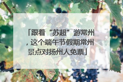 跟着“苏超”游常州，这个端午节假期常州景点对扬州人免票