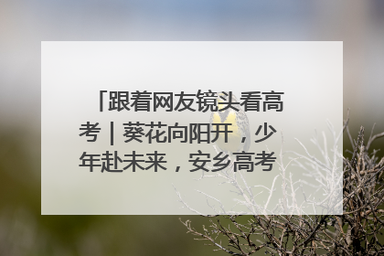 跟着网友镜头看高考｜葵花向阳开，少年赴未来，安乡高考首日的希望图景