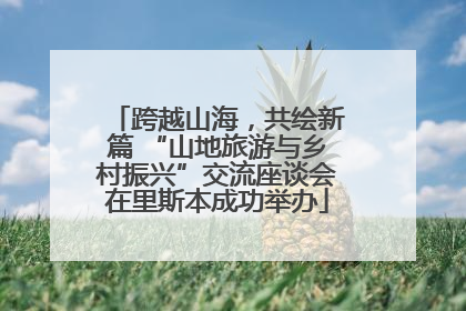 跨越山海，共绘新篇 “山地旅游与乡村振兴”交流座谈会在里斯本成功举办