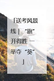 送考风景线｜“旗”开得胜 一举夺“葵”