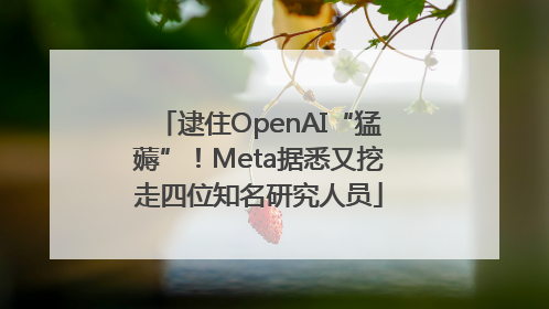 逮住OpenAI“猛薅”！Meta据悉又挖走四位知名研究人员