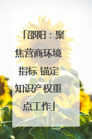 邵阳：聚焦营商环境指标 锚定知识产权重点工作