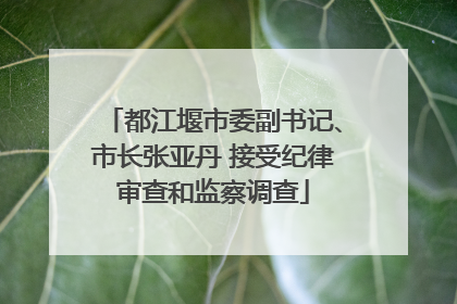 都江堰市委副书记、市长张亚丹 接受纪律审查和监察调查