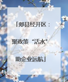 郏县经开区：聚政策“活水” 助企业远航