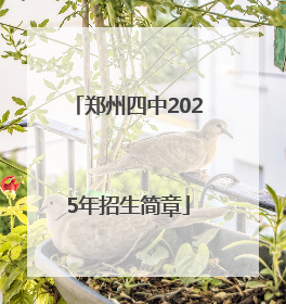 郑州四中2025年招生简章