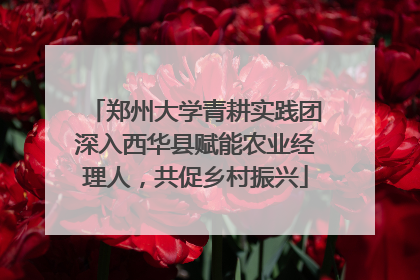 郑州大学青耕实践团深入西华县赋能农业经理人，共促乡村振兴