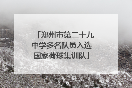 郑州市第二十九中学多名队员入选国家荷球集训队