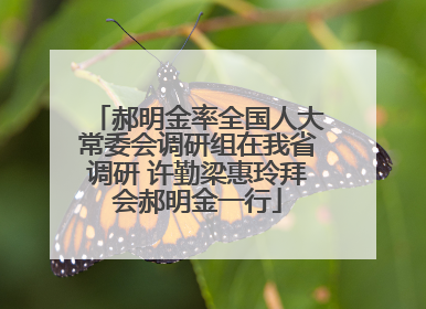 郝明金率全国人大常委会调研组在我省调研 许勤梁惠玲拜会郝明金一行