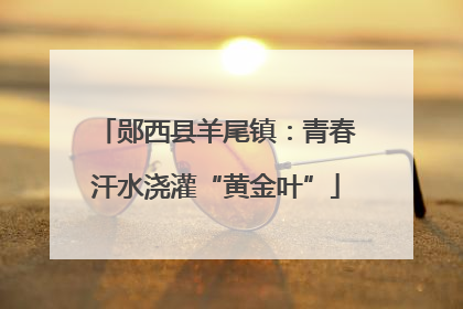 郧西县羊尾镇：青春汗水浇灌“黄金叶”