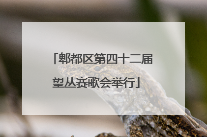 郫都区第四十二届望丛赛歌会举行