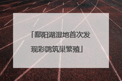 鄱阳湖湿地首次发现彩鹮筑巢繁殖