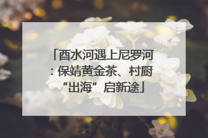 酉水河遇上尼罗河：保靖黄金茶、村厨“出海”启新途