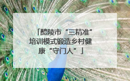 醴陵市“三精准”培训模式锻造乡村健康“守门人”