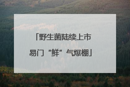 野生菌陆续上市 易门“鲜”气爆棚