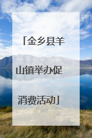 金乡县羊山镇举办促消费活动