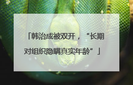 韩治成被双开，“长期对组织隐瞒真实年龄”