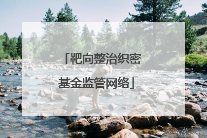 靶向整治织密基金监管网络