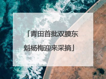 青田首批双膜东魁杨梅迎来采摘