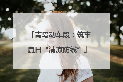 青岛动车段：筑牢夏日“清凉防线”