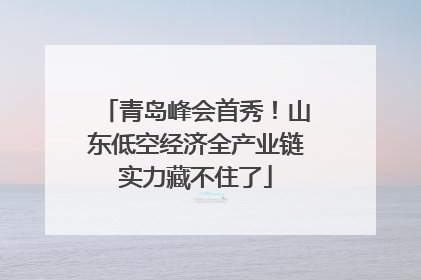 青岛峰会首秀！山东低空经济全产业链实力藏不住了