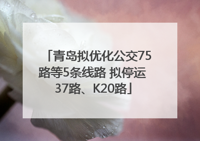 青岛拟优化公交75路等5条线路 拟停运37路、K20路