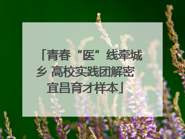 青春“医”线牵城乡 高校实践团解密宜昌育才样本