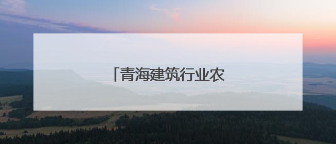 青海建筑行业农民工同台赛技能