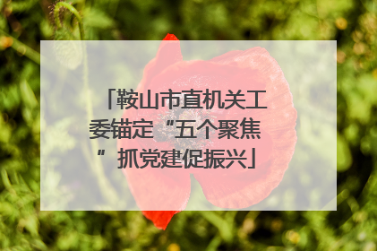 鞍山市直机关工委锚定“五个聚焦”抓党建促振兴