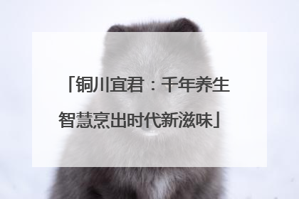 铜川宜君：千年养生智慧烹出时代新滋味