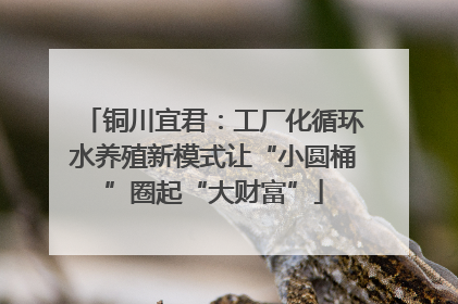 铜川宜君：工厂化循环水养殖新模式让“小圆桶”圈起“大财富”