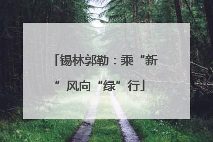 锡林郭勒：乘“新”风向“绿”行