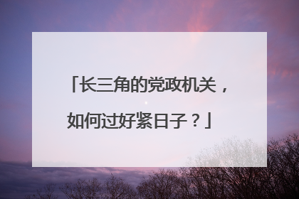 长三角的党政机关，如何过好紧日子？