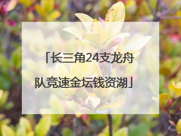 长三角24支龙舟队竞速金坛钱资湖