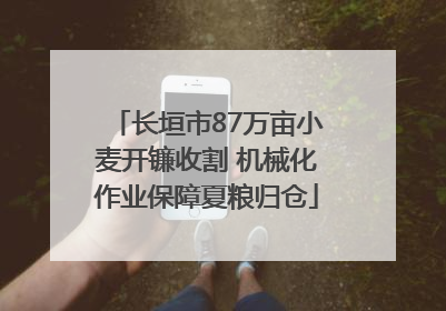 长垣市87万亩小麦开镰收割 机械化作业保障夏粮归仓