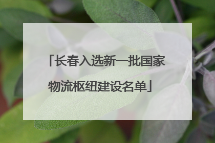 长春入选新一批国家物流枢纽建设名单