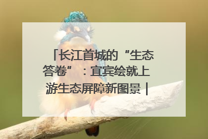 长江首城的“生态答卷”：宜宾绘就上游生态屏障新图景｜中华环保世纪行