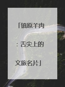 镇原羊肉：舌尖上的文旅名片