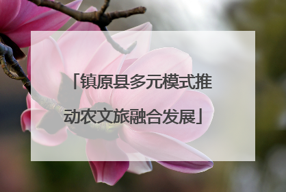 镇原县多元模式推动农文旅融合发展