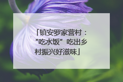 镇安罗家营村：“吃水饭”吃出乡村振兴好滋味
