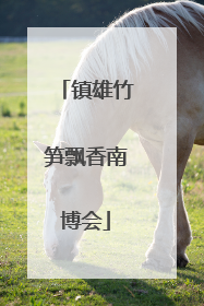镇雄竹笋飘香南博会