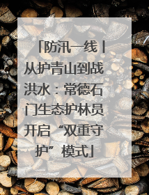 防汛一线丨从护青山到战洪水：常德石门生态护林员开启“双重守护”模式