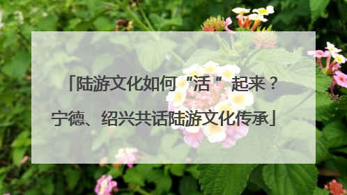 陆游文化如何“活 ”起来？宁德、绍兴共话陆游文化传承