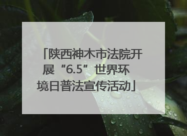 陕西神木市法院开展“6.5”世界环境日普法宣传活动
