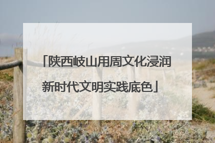 陕西岐山用周文化浸润新时代文明实践底色