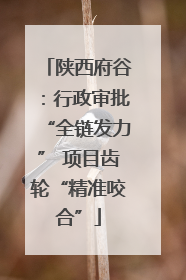 陕西府谷：行政审批“全链发力” 项目齿轮“精准咬合”